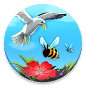 CodyCross Bees And Birds