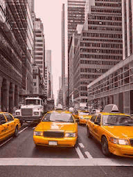 Word City NEW YORK TAXI