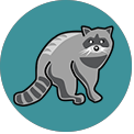 Word Camp Racoon answers