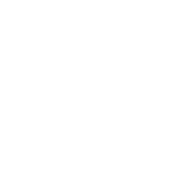 WordBubbles Great White Shark